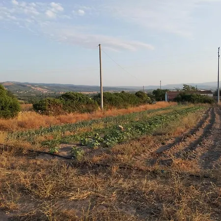 Casa Vacanza Larimar Azienda Agricola Rigenerativa Naturale * Terme di Castel Doria