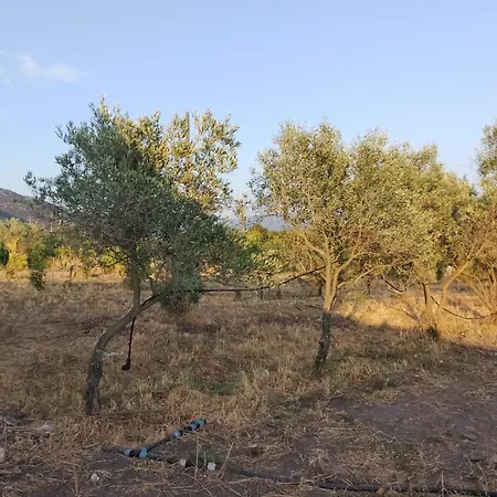 Tatil Evi Casa Vacanza Larimar Azienda Agricola Rigenerativa Naturale *